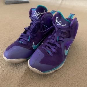 rare LEBRON 9 'SUMMIT LAKE HORNETS' size 13